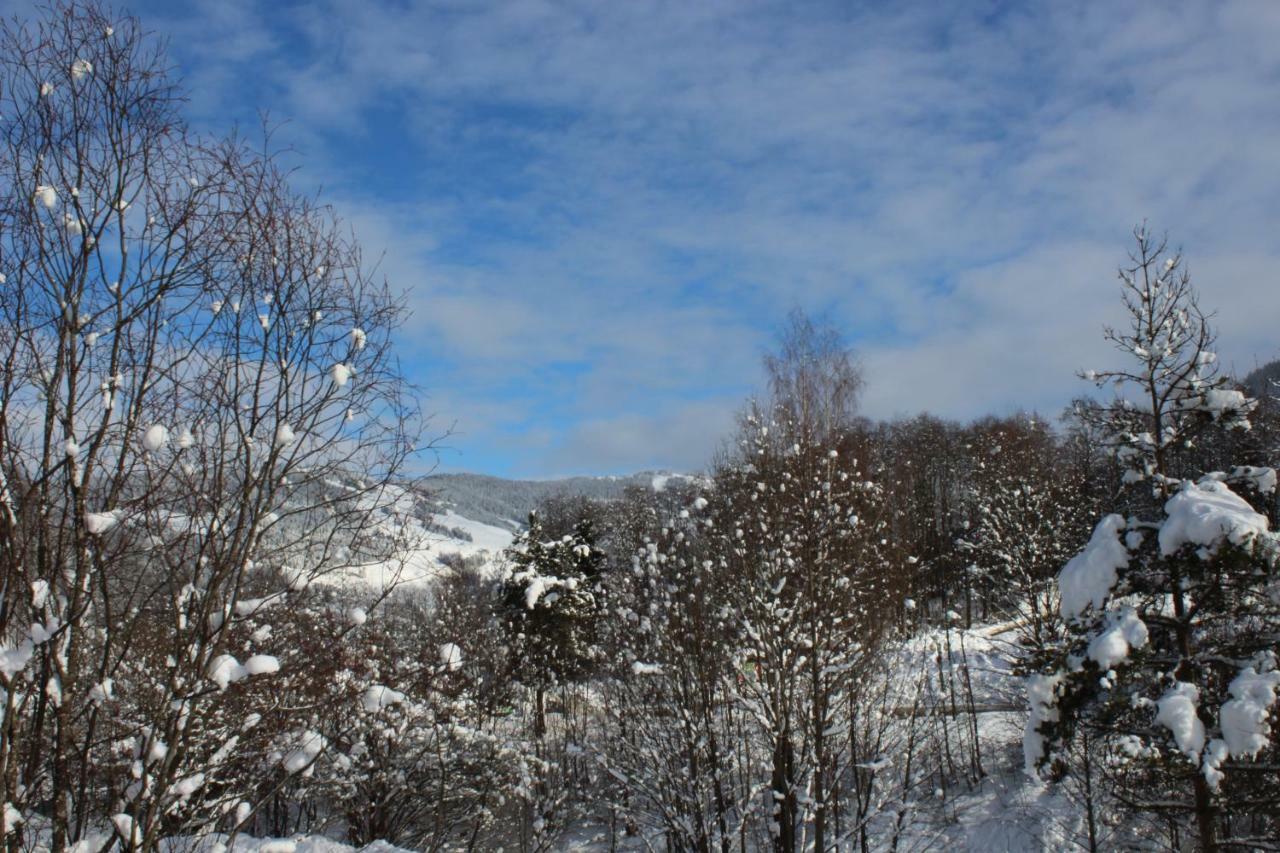 Appartement Schoenfeld Saalbach-Hinterglemm Zewnętrze zdjęcie